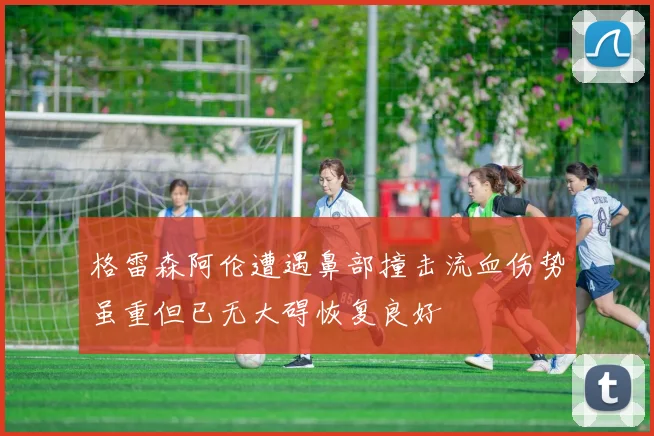 格雷森阿伦遭遇鼻部撞击流血伤势虽重但已无大碍恢复良好